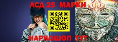 амф Кандалакша