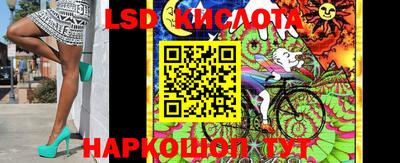 амф Кандалакша
