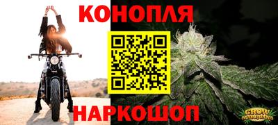 МДМА Камышлов