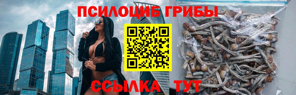 Галлюциногенные грибы MAGIC MUSHROOMS  Галлюциногенные грибы MAGIC MUSHROOMS  Вятские Поляны  Вход с VPN 