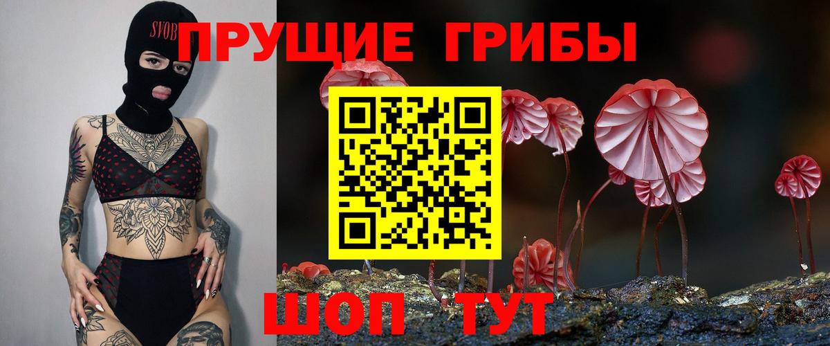 Псилоцибиновые грибы ЛСД Вятские Поляны